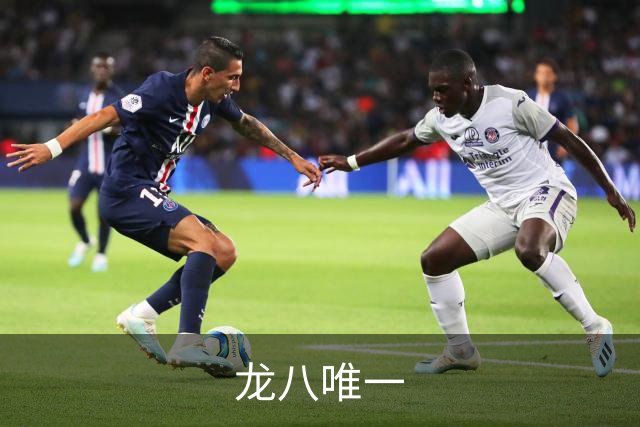 关于龙八唯一